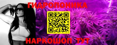 прущие грибы Будённовск
