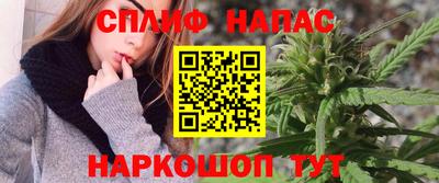 прущие грибы Будённовск