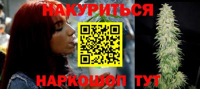 прущие грибы Будённовск