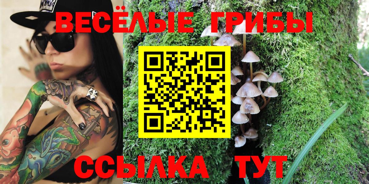 Галлюциногенные грибы Psilocybe  Псилоцибиновые грибы прущие грибы  Вход с VPN  Прохладный 